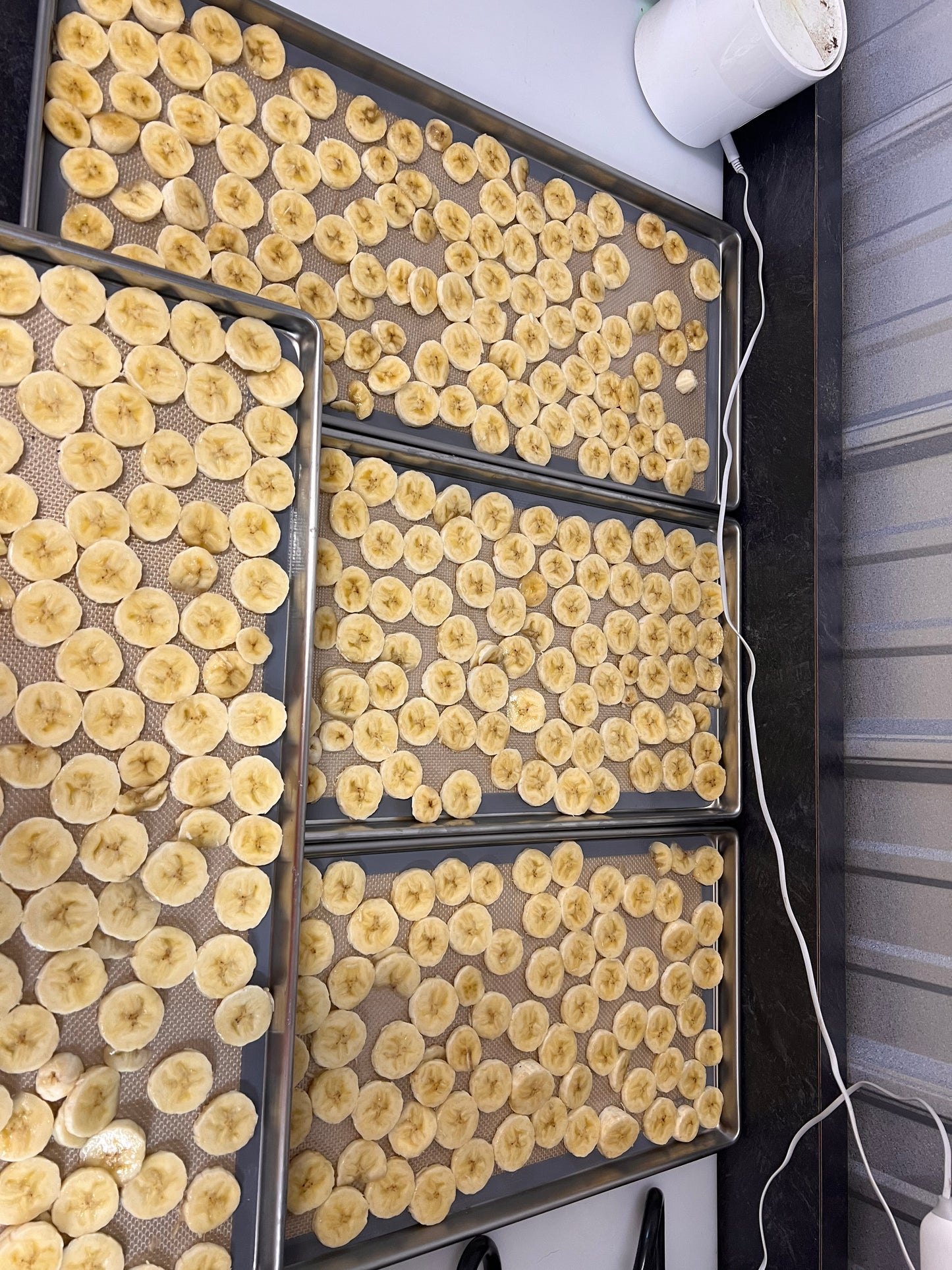 Freeze Dried Bananas