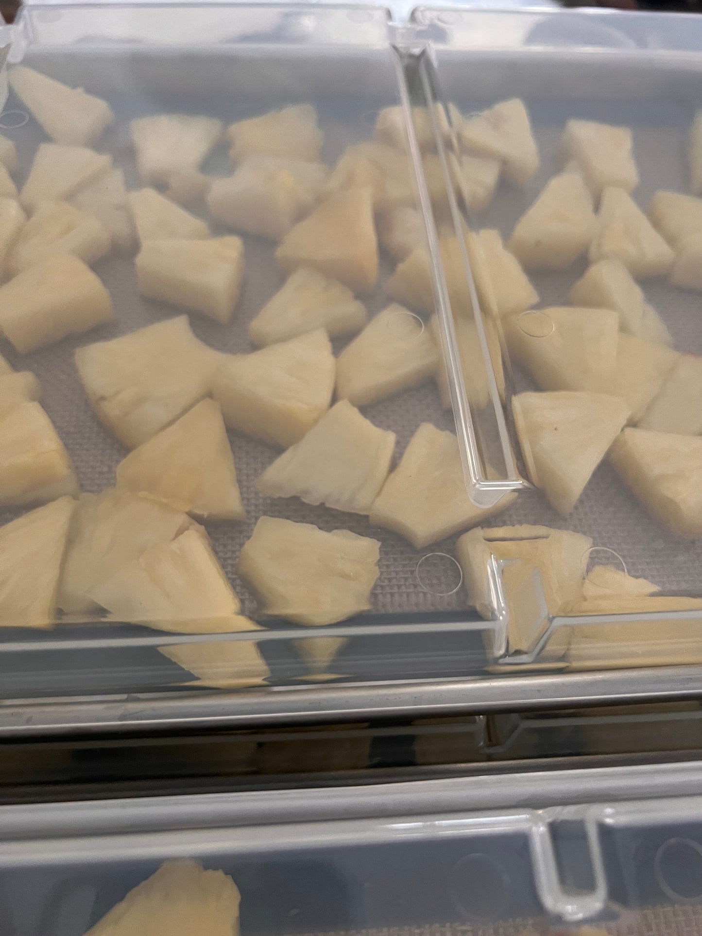 Freeze Dried Pineapple